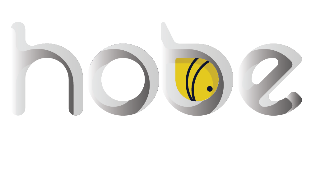HOBE TECHNOLOGY
